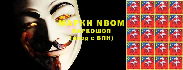 метадон Алексин