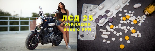 амф Алзамай