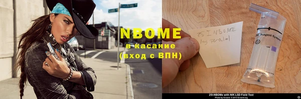 мдпв Весьегонск