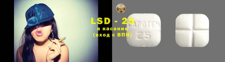 амф Алзамай