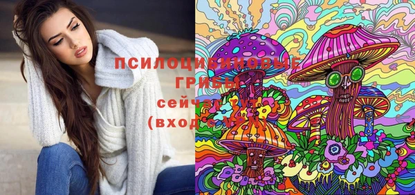 амф Алзамай