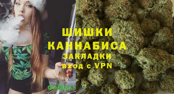 амф Алзамай